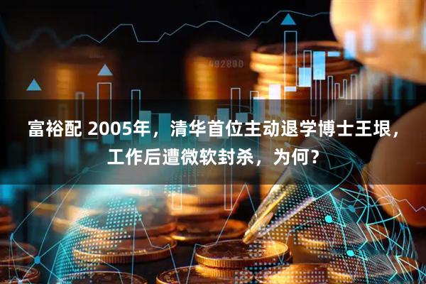 富裕配 2005年，清华首位主动退学博士王垠，工作后遭微软封杀，为何？